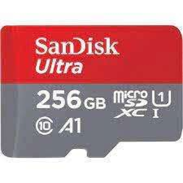 SANDISK 256GB microSD CARD